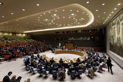 Россия применила в СБ ООН вето к резолюции Ирландии и Нигера о связи климата и конфликтов - interaffairs.ru - Россия - Ирландия - Нигер