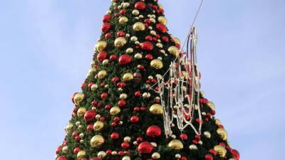 Атмосфера праздника: в Иерусалиме зажгли рождественскую елку - mir24.tv - Иерусалим