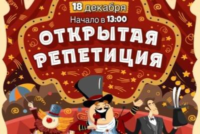 Ивановцы могут бесплатно посмотреть репетицию новогоднего представления в цирке - mkivanovo.ru