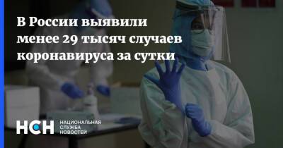В России выявили менее 29 тысяч случаев коронавируса за сутки - nsn.fm - Россия