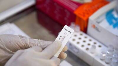 Анна Попова - Попова заявила, что суточный охват тестирования на коронавирус в России вырос в три раза - russian.rt.com - Россия