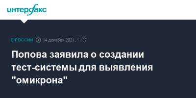Анна Попова - Попова заявила о создании тест-системы для выявления "омикрона" - interfax.ru - Россия - Москва - Юар