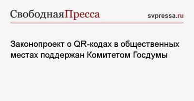 Законопроект о QR-кодах в общественных местах поддержан Комитетом Госдумы - svpressa.ru
