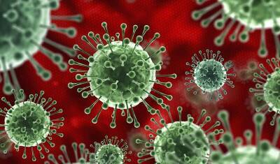 Эксперты заявили, что коронавирус ускоряет процесс старения - newizv.ru