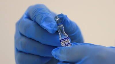 Александр Гинцбург - Гинцбург назвал условие для изменения вакцины «Спутник V» под омикрон-штамм - russian.rt.com