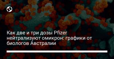 Как две и три дозы Pfizer нейтрализуют омикрон: графики от биологов Австралии - liga.net - Украина - Австралия