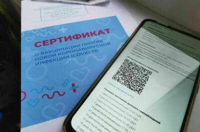 Татьяна Голикова - Сертификат о вакцинации от коронавируса защищен от подделок, заявила Голикова - pnp.ru