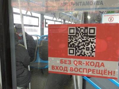 Большинство россиян выступают против введения QR-кодов в общественном транспорте - u24.ru - республика Татарстан - Пермь - Волгоград - Краснодар