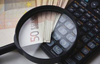 3,6 млн субсидий выплачено безосновательно - vkcyprus.com - Кипр