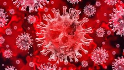 Pfizer: заразившийся одновременно «омикроном» и «дельтой» может родить новый вирус - 5-tv.ru - Австралия