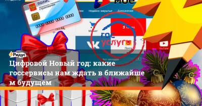 Цифровой Новый год: какие госсервисы нам ждать вближайшем будущем - ridus.ru - Россия