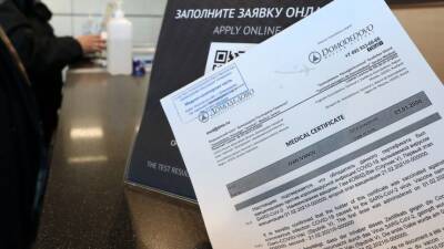 Международные сертификаты о вакцинации можно получить в аэропорту Домодедово - 5-tv.ru - Москва