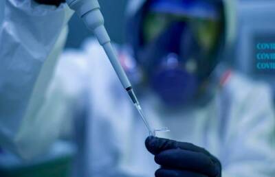 Ученые назвали опасное свойство омикрон-штамма - ont.by - Белоруссия - Гонконг