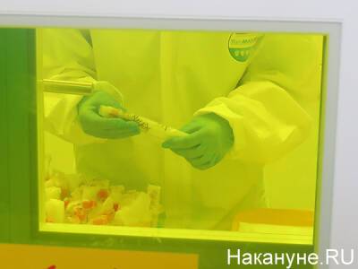 В Центре Гамалеи рассказали детали разработки химиотерапии от коронавируса - nakanune.ru