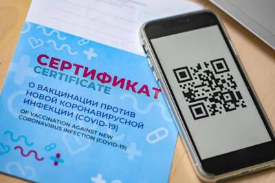 Спасение от локдауна: зачем принимать закон о QR-кодах в общественных местах - infox.ru - Россия