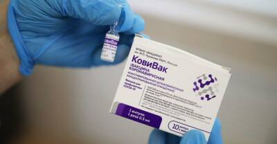 Минздрав Беларуси одобрил использование российской вакцины «КовиВак» в республике - rubaltic.ru - Россия - Белоруссия