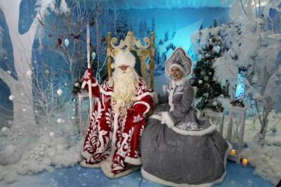 Онлайн-резиденция Деда Мороза в Иркутске начнет работать с 20 декабря - runews24.ru - Иркутск