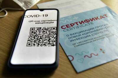 Законопроект о доступе в общественные места по QR-кодам приняли в первом чтении - pnp.ru