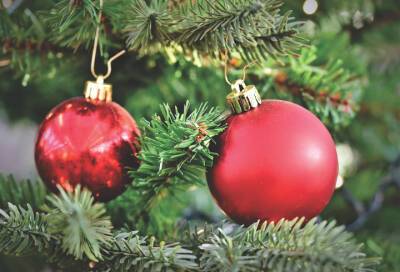 Благодарные пациенты установили новогоднее дерево у медчасти в Сосновом Бору - online47.ru - Россия