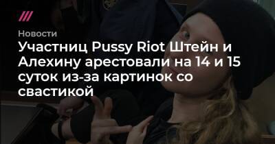 Александр Лукашенко - Участниц Pussy Riot Штейн и Алехину арестовали на 14 и 15 суток из‑за картинок со свастикой - tvrain.ru - Москва - Белоруссия