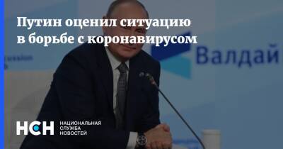 Владимир Путин - Путин оценил ситуацию в борьбе с коронавирусом - nsn.fm - Россия