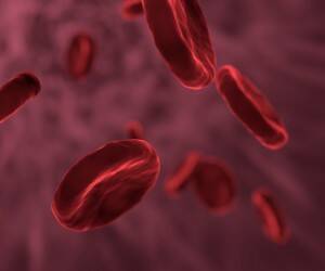 Группа крови влияет на склонность к раку, диабету и даже на переносимость вакцинации - goodnews.ua