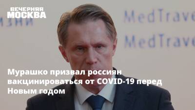 Михаил Мурашко - Мурашко призвал россиян вакцинироваться от COVID-19 перед Новым годом - vm.ru