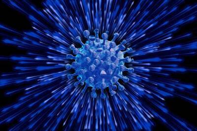 Как протекает заражение омикрон-штаммом коронавируса и мира - cursorinfo.co.il - Австралия