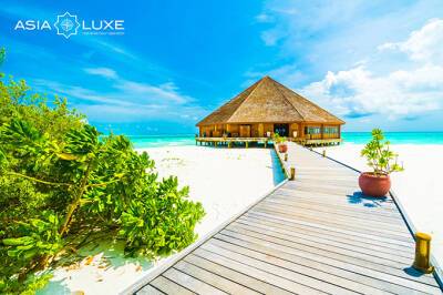 Без визы и ограничений: Asialuxe Travel предлагает выгодные турпакеты на Мальдивы - gazeta.uz - Мальдивы - Узбекистан