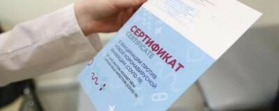 Законы о QR-кодах позволят избежать «перегибов на местах» в пандемию - runews24.ru - Россия