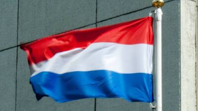 Жителям Нидерландов разрешили принять на праздники не более четырех гостей - mir24.tv - Голландия
