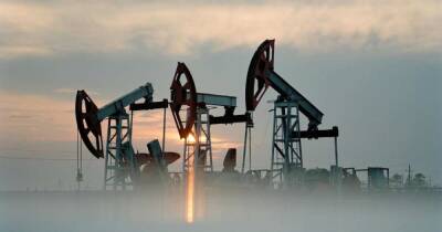 Эксперт предсказал падение цены на нефть в 2022 году - ren.tv
