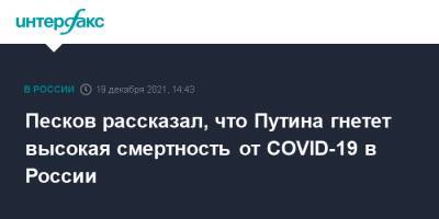 Владимир Путин - Дмитрий Песков - Песков рассказал, что Путина гнетет высокая смертность от COVID-19 в России - interfax.ru - Россия - Москва