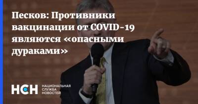 Дмитрий Песков - Песков: Противники вакцинации от COVID-19 являются «опасными дураками» - nsn.fm - Россия