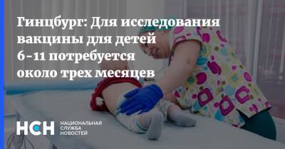 Александр Гинцбург - Гинцбург: Для исследования вакцины для детей 6-11 потребуется около трех месяцев - nsn.fm - Россия
