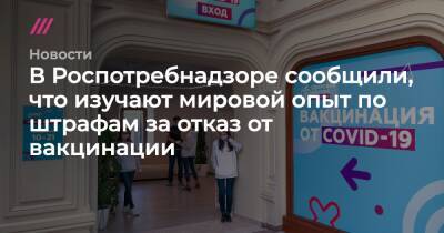 В Роспотребнадзоре сообщили, что изучают мировой опыт по штрафам за отказ от вакцинации - tvrain.ru - Австрия