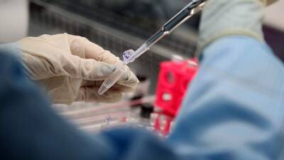 Немецкий биолог не исключил затухания пандемии с появлением «Омикрона» - iz.ru - Германия - Израиль