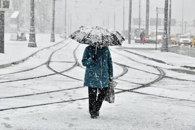 Порядка 2–3 см снега выпало в Москве в среду - yur-gazeta.ru - Москва