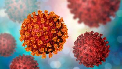 ВОЗ бьет тревогу в связи с распространением нового штамма коронавируса - germania.one - Сша - Германия - Евросоюз - Юар