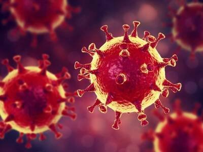 Ученые нашли универсальное антитело, убивающее все штаммы коронавируса - bloknot.ru