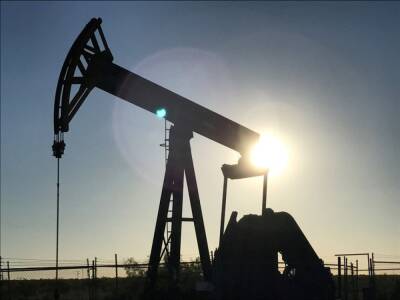 Нефть подорожала накануне встречи ОПЕК+ - ru.slovoidilo.ua - Украина