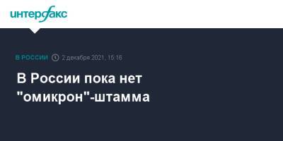 Анна Попова - В России пока нет "омикрон"-штамма - interfax.ru - Россия - Москва