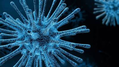 Новый штамм коронавируса «Омикрон» выявили в Исландии - inforeactor.ru - Исландия