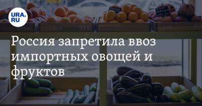Россия запретила ввоз импортных овощей и фруктов - ura.news - Россия - Москва - Турция - Китай - Египет - Иран