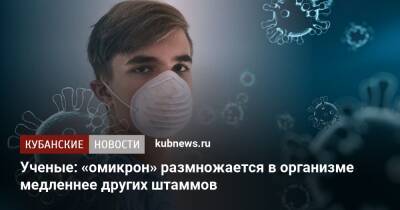 Ученые: «омикрон» размножается в организме медленнее других штаммов - kubnews.ru