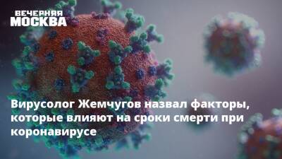 Владислав Жемчугов - Вирусолог Жемчугов назвал факторы, которые влияют на сроки смерти при коронавирусе - vm.ru