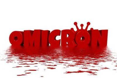 Индия - Пандемия COVID-19: "Омикрон" угрожает Рождеству - smartmoney.one - Россия - Сша - Англия - Индия - Лондон - Бразилия
