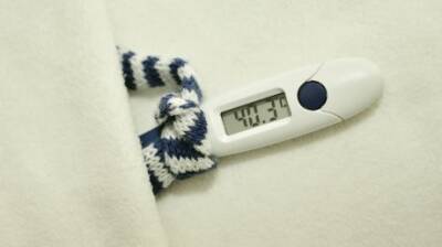 Названы простые способы облегчить симптомы гриппа и ОРВИ - penzainform.ru