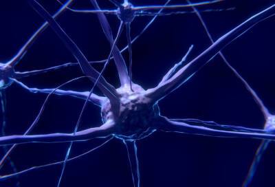 Выращенные клетки мозга обошли искусственный интеллект в пинг-понге - online47.ru