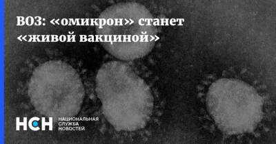 Мелита Вуйнович - ВОЗ: «омикрон» станет «живой вакциной» - nsn.fm - Россия
